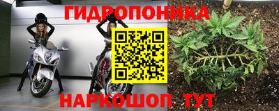 mdpv Аша